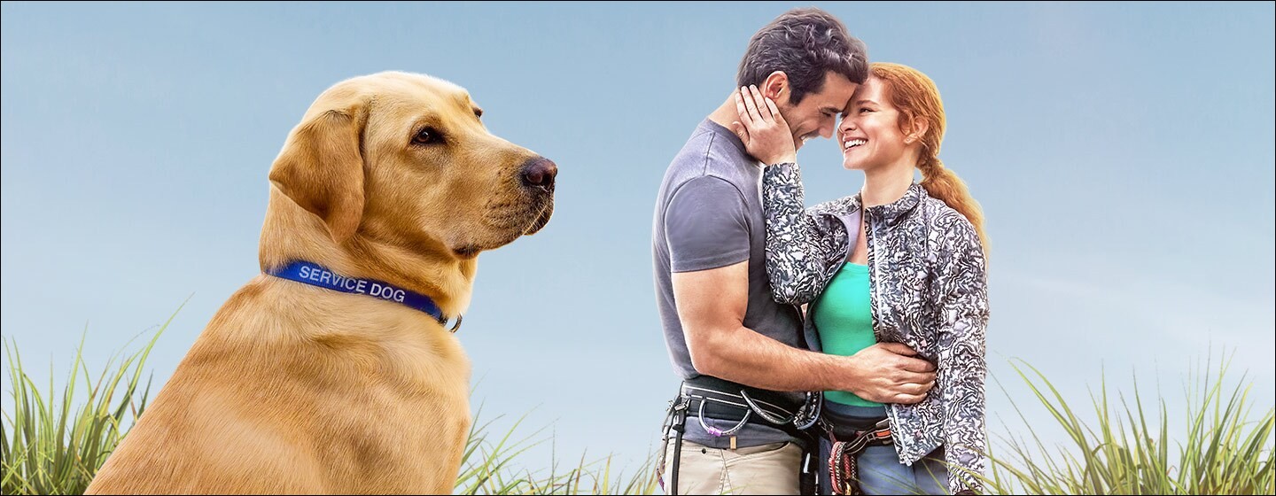 Téléfilm Hallmark Guiding Emily avec Sarah Drew